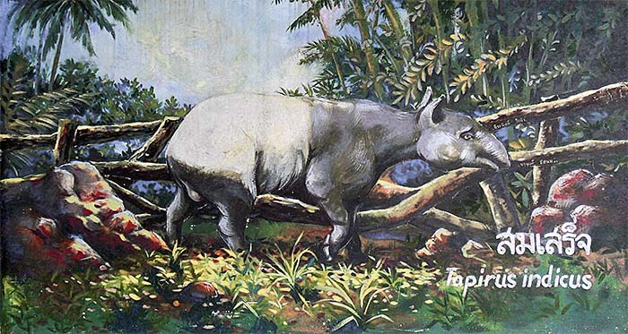 'Painting of a Malayan Tapir | Dusit Zoo | Bangkok' by Asienreisender